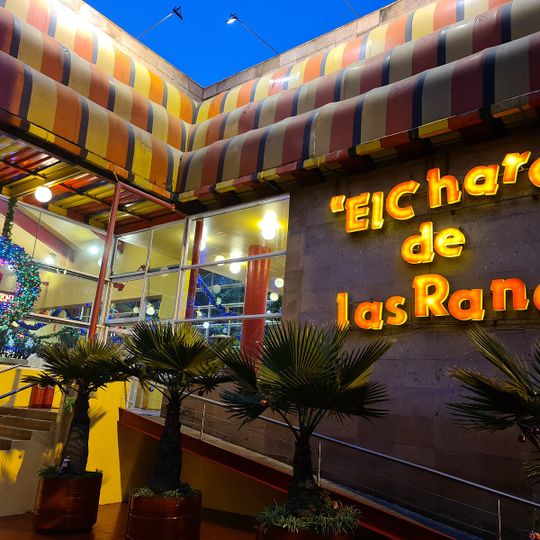 El Charco de las Ranas 3