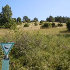 Eckenlauh-Weißgerberberg