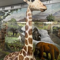 Tsuyama Wonder Museum