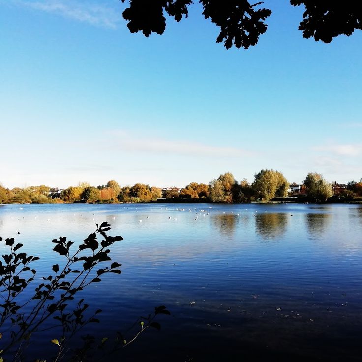 L'île Robinson