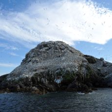 Réserve naturelle des Sept-Îles