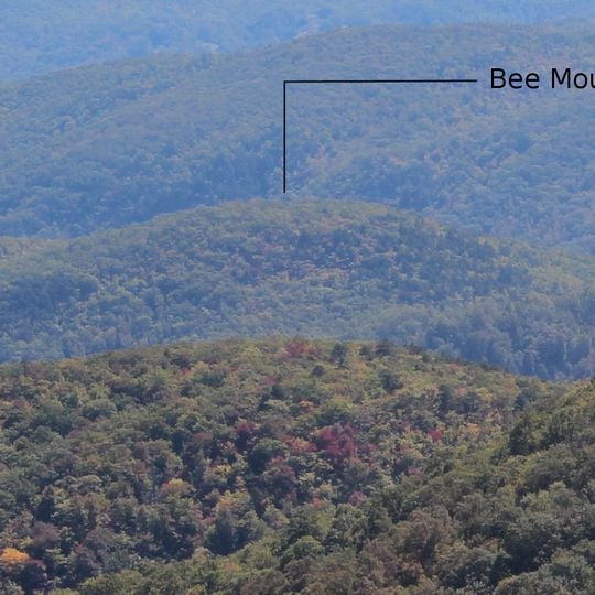 Bee Mountain