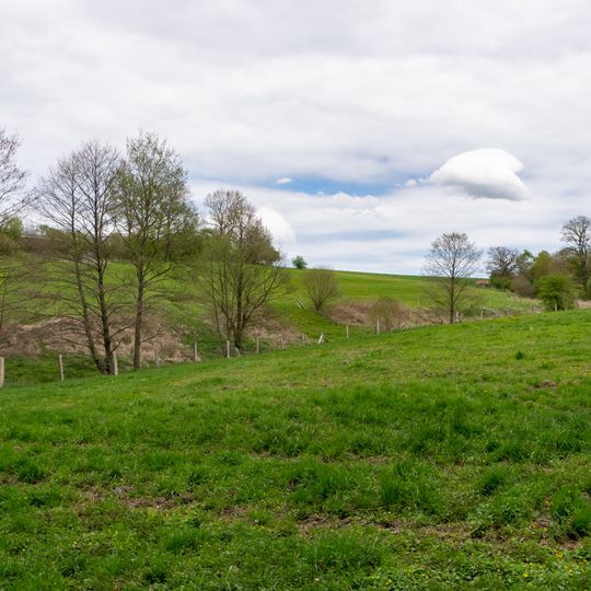 Büren-Wünnenberger Wälder