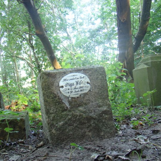 Cmentarz ewangelicki w Bagiczu