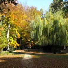 Kaštieľ Antol s areálom, park