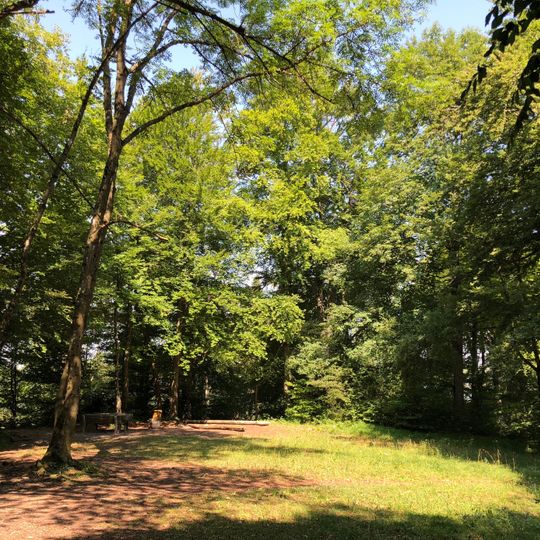 Baldern, medieval castle site