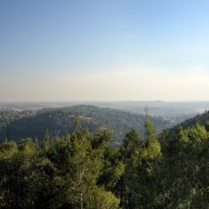 Forest of the Martyrs