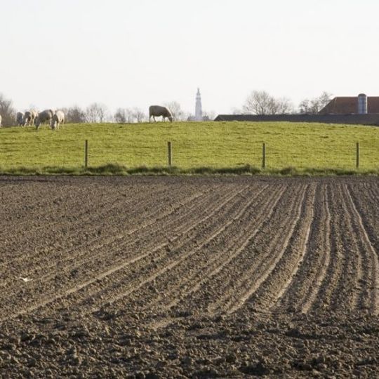 Terrein waarin een vluchtberg/kasteelberg