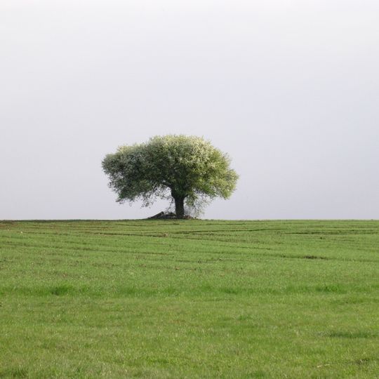 Distretto di Zambrów