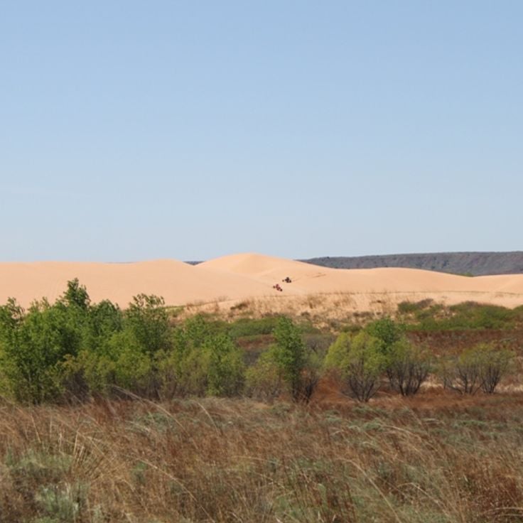 Parco Statale Little Sahara