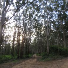 Boranup Drive