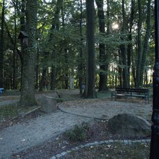 Palace park in Wodzisław Śląski - Kokoszyce