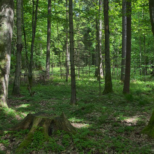 Starożyn Natural Reserve