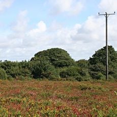 Carrine Common & Penwethers