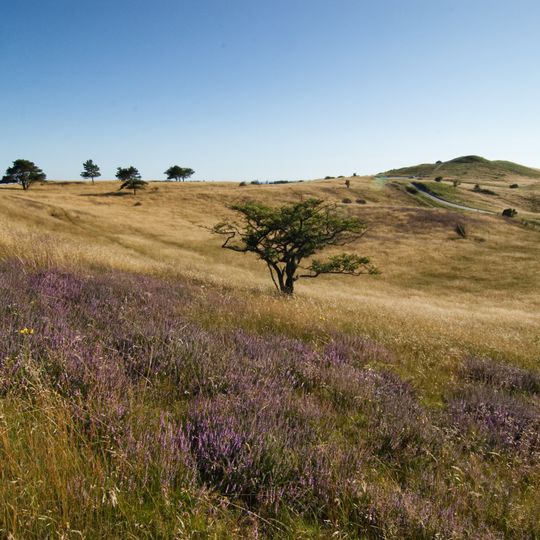 Nationalpark Mols Bjerge