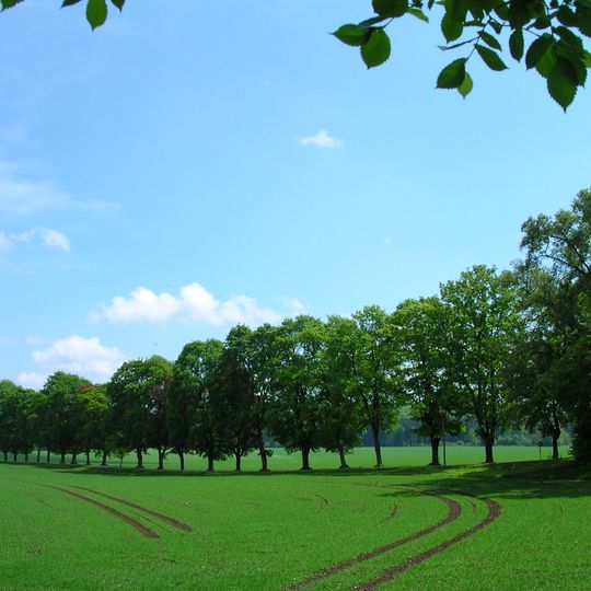 Baumreihen und Alleen zwischen Fohlenhof und Gestüt St. Johann