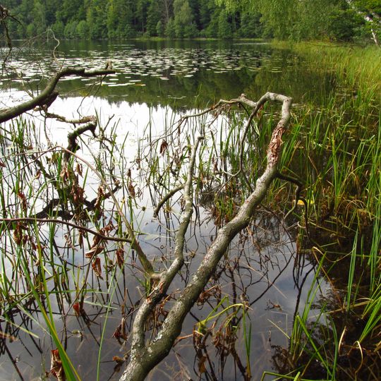 Rezerwat przyrody Jezioro Orle