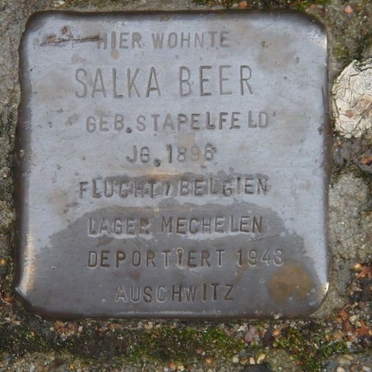 Stolperstein en memoria de Salka Beer