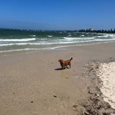 Kyeemagh Dog Beach