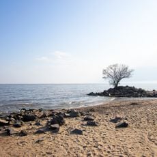Xingkai Lake reserve
