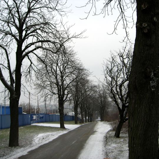 Památné stromořadí Líšeňská