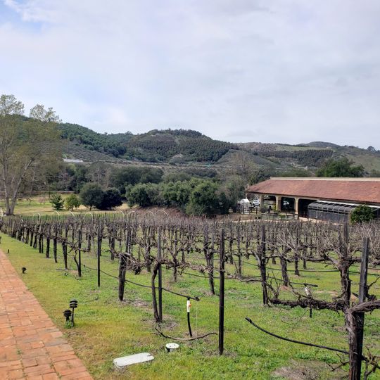 Deer Park Winery & Auto Museum