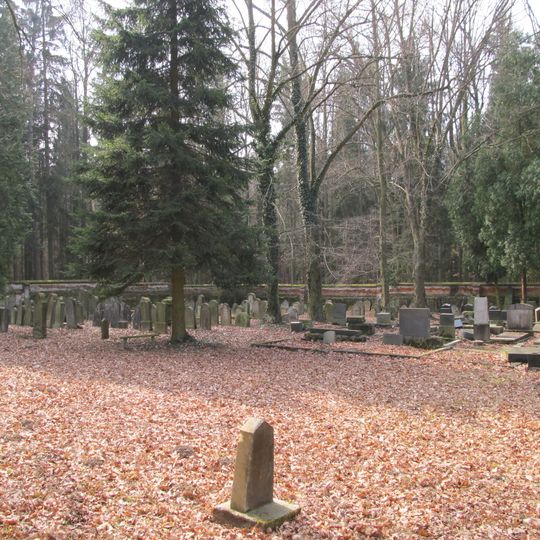 Jewish cemetery in Puclice