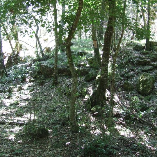 Domus de Santa Coloma