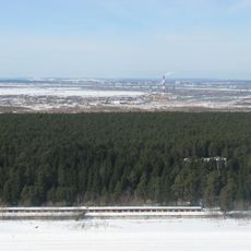Chernyayevsky Forest