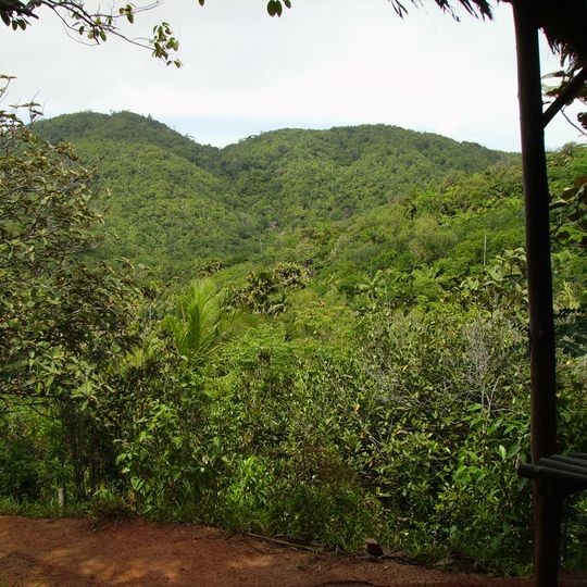 Vallée de Mai