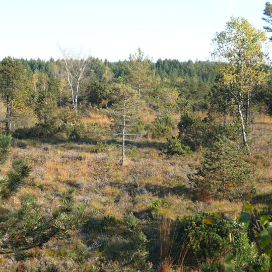 Bodenmöser und Hengelesweiher