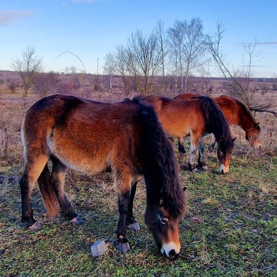 Milovice Nature Reserve