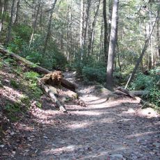Benton MacKaye Trail