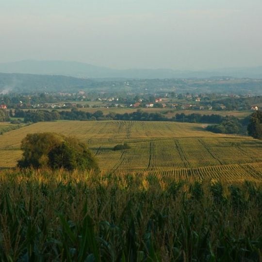 Distretto di Wieliczka
