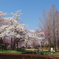 Yoshiba Park