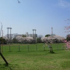 青葉公園