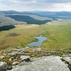 Silver Flowe-Merrick Kells