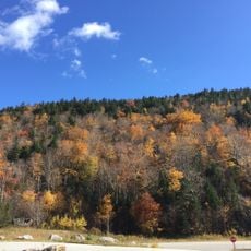 White Mountain National Forest