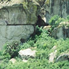 Guilá Naquitz Cave