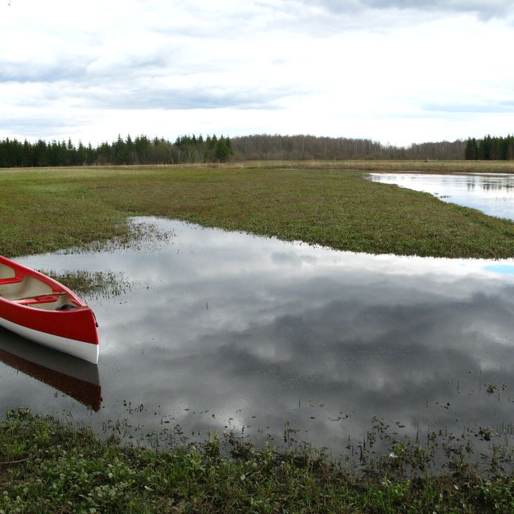 Overstromingsvlakten van Soomaa