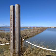 Salines de Sant Antoni