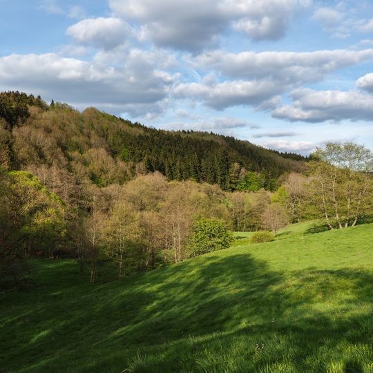 Eishoehlen und Fischbachtal bei Birresborn