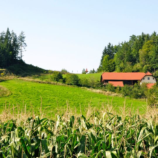 Hügelgräberfeld Führholz