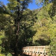 Brook Waimārama Sanctuary