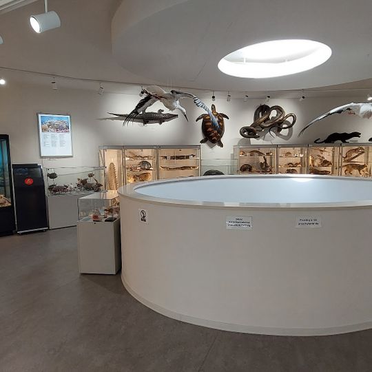 Muzeum Przyrodnicze Uniwersytetu Łódzkiego