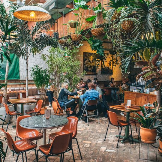 Botanikafé