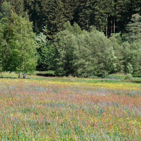 Pöbelbachtal und Hofehübel