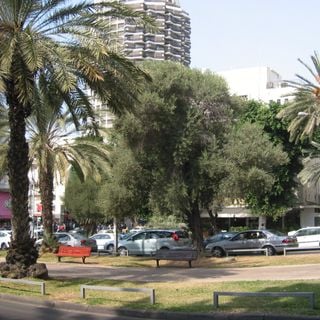 Plac Michoels (Tel Awiw)