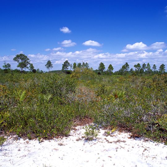 Lake Wales Ridge National Wildlife Refuge
