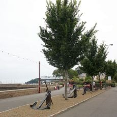 Saint Aubin's Bay Promenade